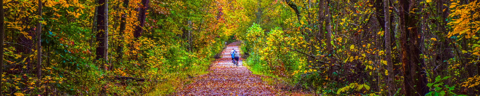 Swamp Rabbit Trail in South Carolina