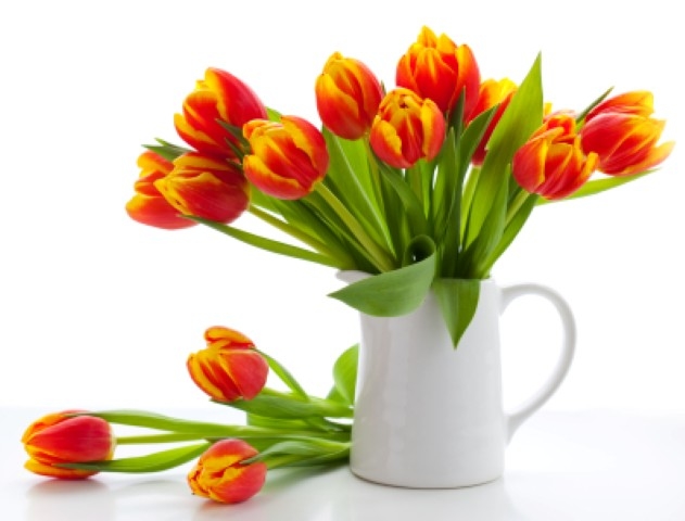 Flowers in a vase against white background